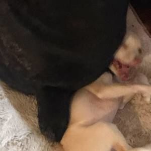 Meet your Posher, Jayden